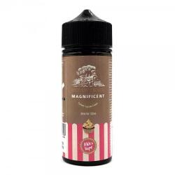 Steam Train Magnificent 24/120ml