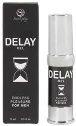Secretplay Gel pentru întârzierea ejaculării, SecretPlay, Endless Pleasure, prelungește actul și oferă efect răcoritor, 15 ml (D-214077)