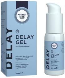 Mister Size Gel pentru întârzierea ejaculării, Delay Gel, Mister Size, efect răcoritor și control îmbunătățit, 50 ml (D-244578)