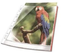 DURABLE Durable: Genotherm, lefűzhető, PP, A4, 80 mikron, DURABLE "Prémium", piros (265403)