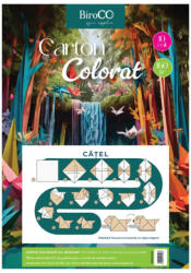 BiroCo Carton multicolor BiroCO, format A4, 160 gr, 10 coli/set (BIRO0215)