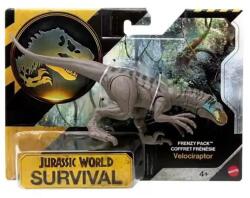 Mattel Figurina articulata, Jurassic World Survival, Velociraptor, JKL60 Figurina