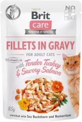  Brit Care Cat Fillets in Gravy with Tender Turkey & Savory Salmon 24x85g