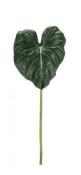 Bizzotto Set 3 frunze Philodendron artificial 38x3x87 cm (0170743X)