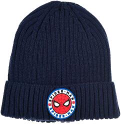 Kids movie heroes Шапка Spiderman (HY40000-NAVY)