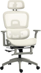 HomCom Scaun de birou, scaun ergonomic pentru birou cu acoperire din plasă, reglabil, pe roți, cu cotiere, tetieră, Bej | Aosom Romania (921-819V70BG)