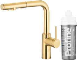 Armatura Duero Pure Basic baterie de bucatarie cu filtru pe picior aur/aur vechi 6623-114-39 (662311439)