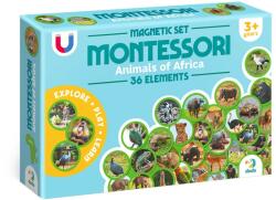 Dodo Toys Set magnetic Montessori, Animale din Africa, Dodo Toys Jucarii de constructii magnetice