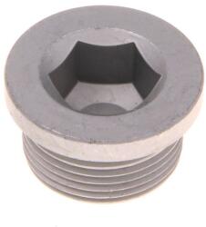 MAXGEAR surub de golire, baia de ulei MAXGEAR 49-5119 (49-5119)