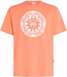 O'Neill Musthave Graphic (2850368-12535)