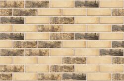 Cemacon (Evoceramic) Caramida aparenta Cemacon VC2101 (240 x 71 x 9 mm) (CEM-VC2101)
