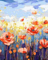 KOH-I-NOOR Pictura pe numere 40x50cm MACI