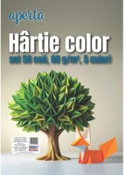  Hârtie color A4 - Set 50 coli, 80 g/mp, 5 culori intense