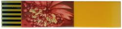  Bordura/ Brau Decorativ 8.5X31.5Cm, Cleopatra Floral (46991)