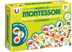 DoDo Set Magneti Montessori - Fructe Si Legume - Dodo (do200272) Jucarii de constructii magnetice