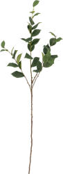 Bloomingville Floare artificială Bloomingville eucalipt 110 cm (82072850)