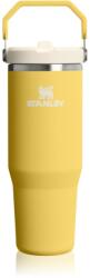 Stanley IceFlow Flip Straw 2.0 Tumbler sticlă termos din oțel inoxidabil Daffodil 890 ml