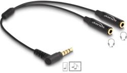 Delock 66242 audio kábel 0, 25 M 3.5mm 2 x 3.5mm Fekete (66242)