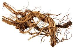 INVITAL Dragon Wood XXXL 90-120cm 1 bucată (INZ01101)