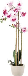 BackHomeLiving Művirág - Orchidea fehér-rózsaszín 70 cm (HID4771)