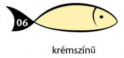  Karton Rainbow 50x70 cm 230g pasztell krém 06