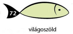  Karton Rainbow 50x70 cm 230g pasztell világoszöld 72 (PAP1020-0294)