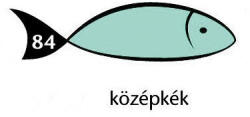  Karton Rainbow 50x70 cm 230g pasztell középkék 84