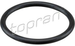 TOPRAN Garnitura, carcasa filtru aer TOPRAN 113 884 (113 884)