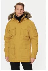 Jack Wolfskin Férfi kabát, Jack Wolfskin, 303953706, Poliamid, L INTL, Sárga (0000303953706_L)
