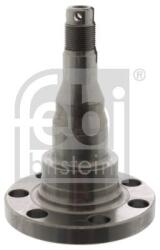 Febi Bilstein Butuc roata, corp axa FEBI BILSTEIN 08340 (08340)