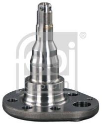 Febi Bilstein Butuc roata, corp axa FEBI BILSTEIN 18348 (18348)
