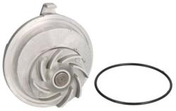 THERMOTEC Pompa apa, racire motor THERMOTEC D1X020TT (D1X020TT)