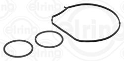 ELRING Set garnituri, pompa apa ELRING 397.350 (397.350)
