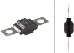HELLA Siguranta fuzibila HELLA 8JS 742 901-001 (8JS 742 901-001) - fixbox