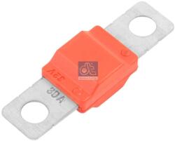 DT Spare Parts Siguranta fuzibila DT Spare Parts 7.25810 (7.25810) - fixbox