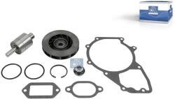 DT Spare Parts Set reparatie, pompa apa DT Spare Parts 4.90685 (4.90685)