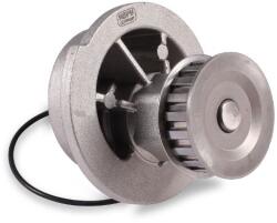 HEPU Pompa apa, racire motor HEPU P387 (P387)