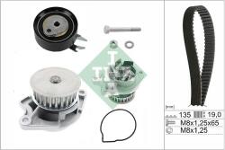 INA Set pompa apa + curea dintata INA 530 0166 31 (530 0166 31)
