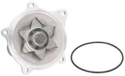 THERMOTEC Pompa apa, racire motor THERMOTEC D1Y004TT (D1Y004TT)