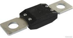 Herth+buss Elparts Siguranta fuzibila HERTH+BUSS ELPARTS 50295842 (50295842) - fixbox