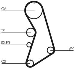 Continental Ctam Set pompa apa + curea dintata CONTINENTAL CTAM CT909WP5 (CT909WP5) - fixbox