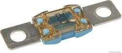 Herth+buss Elparts Siguranta fuzibila HERTH+BUSS ELPARTS 50295873 (50295873) - fixbox
