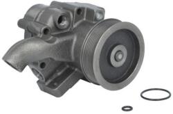 THERMOTEC Pompa apa, racire motor THERMOTEC WP-CA119 (WP-CA119)