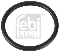 Febi Bilstein Garnitura termostat FEBI BILSTEIN 10255 (10255)