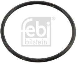 Febi Bilstein Garnitura termostat FEBI BILSTEIN 10258 (10258)