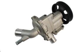THERMOTEC Pompa apa, racire motor THERMOTEC D1B029TT (D1B029TT)