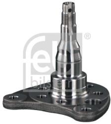 Febi Bilstein Butuc roata, corp axa FEBI BILSTEIN 18350 (18350)