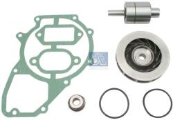 DT Spare Parts Set reparatie, pompa apa DT Spare Parts 4.90042 (4.90042)