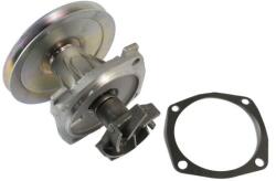 THERMOTEC Pompa apa, racire motor THERMOTEC D1F050TT (D1F050TT)