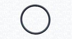 Magneti Marelli Pompa apa, racire motor MAGNETI MARELLI 350984312000 (350984312000)